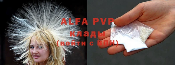 гашик Аркадак