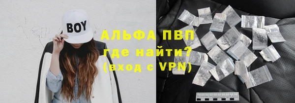 сатива Арсеньев