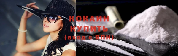гашик Аркадак