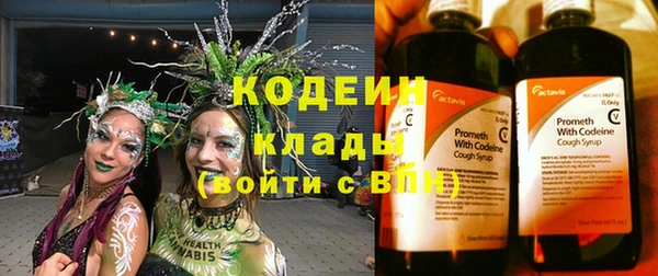сатива Арсеньев