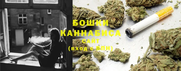 сатива Арсеньев