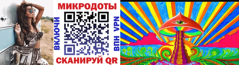 как найти   Славск  Галлюциногенные грибы Psilocybine cubensis 