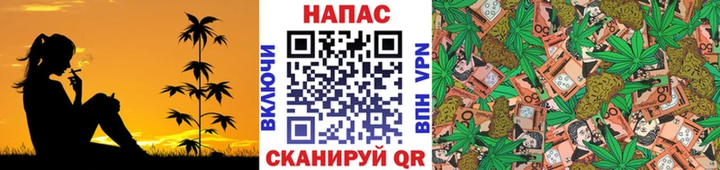 Канабис SATIVA & INDICA  цена наркотик  Славск 
